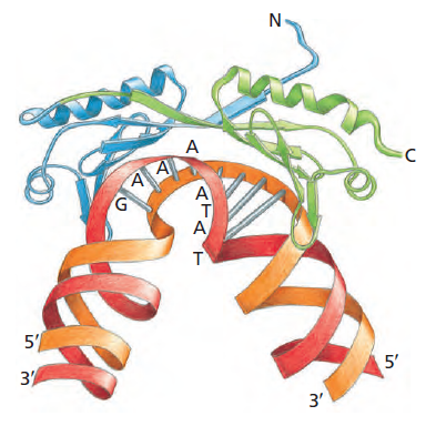 Figure 6-17.png